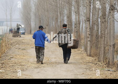 Armless chinois Jia Wenqi, droite, guide son ami aveugle avec une manche Manhattan Jia de son habit de marcher le long d'un chemin sur le chemin de la plantation tre Banque D'Images