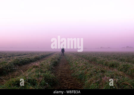 Une mystérieuse silhouette solitaire debout dans un champ sur un beau début matin brumeux. Banque D'Images