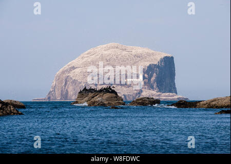 Bass rock comme vu de la rive du Firth of Forth. Bass Rock l'hôte d'une colonie de Fou de Bassan sur 150,000 individus. L'Écosse, Royaume-Uni. Banque D'Images