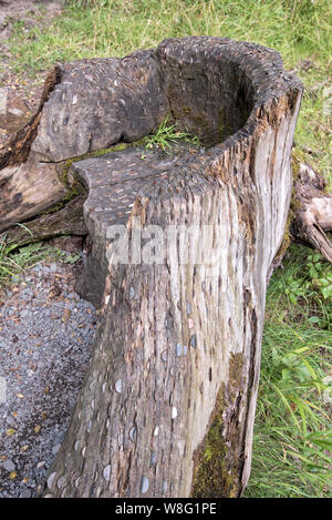 Coin seat wishing tree Banque D'Images