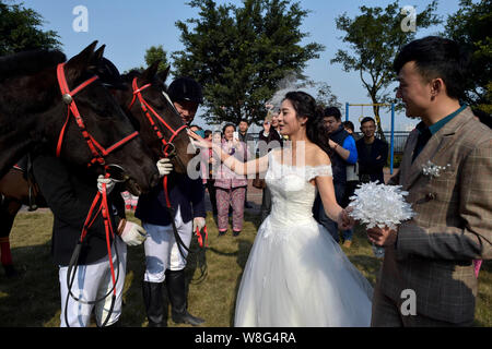 A senior couple qui sont à la fois les amoureux du cheval regarder avec cavaliers chevaux pendant leur cérémonie de mariage à Chongqing, Chine, le 7 mars 2015. Un nouveau Banque D'Images