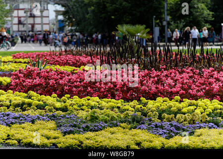 Moscou, Russia-August 6, 2019 : l'inscription de personnes à pied le long d'un chemin bordé de fleurs hortensia blanc au parc Sokolniki à Moscou Banque D'Images