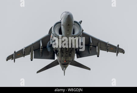 L'Espagnol EAV-8B Harrier II au Royal International Air Tattoo 2019 Banque D'Images