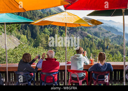 NEPENTHE RESTAURANT VOIR PHOTO PHOTOGRAPHIE NUMÉRIQUE Nepenthe Restaurant près de l'autoroute 1 (CA-1) eatery perché sur une falaise de Big Sur Californie offrant nourriture et d'une terrasse avec des vues à couper le souffle qui sont digne de l'image numérique. Nepenthe est un restaurant à Big Sur, en Californie, construit par le projet de loi et de Madelaine 'Lolly' Fassett et a ouvert ses portes en 1949. Il a été construit autour d'un chalet construit en 1925. Il est connu pour les miles de long vue panoramique de la côte sud de Big Sur à partir de la terrasse extérieure et son menu méditerranéen grec/Californie localement et d''aliments cultivés en Californie. Banque D'Images