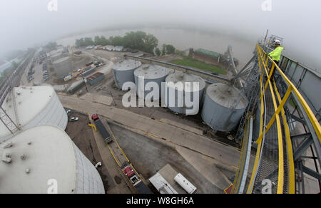 Grain consolidé et barges au Terminal de Riverside, à Cincinnati, OH, le 10 mai 2017. Banque D'Images