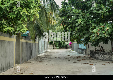 Dans la rue vide village traditionnel des Maldives sur l'atoll de Baa, l'île Fehendhoo Banque D'Images