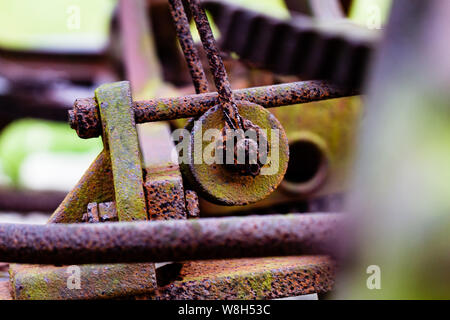 Rusty, et moussus de fer forgé d'une pièce d'Engrenage vintage farm equipment à près de distance macro. La mousse d'un vert vif se distingue fortement contre le Banque D'Images