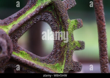 Rusty, et moussus de fer forgé d'une pièce d'Engrenage vintage farm equipment à près de distance macro. La mousse d'un vert vif se distingue fortement contre le Banque D'Images