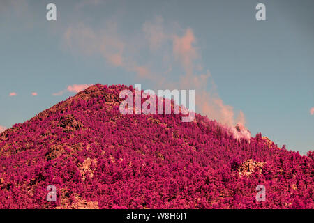 La fumée blanche s'élevant jusqu'au ciel bleu de feu de forêt. Image infrarouge. Banque D'Images