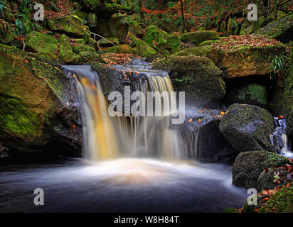 UK,Derbyshire, Peak District,Padley Cascades Gorges en automne Banque D'Images