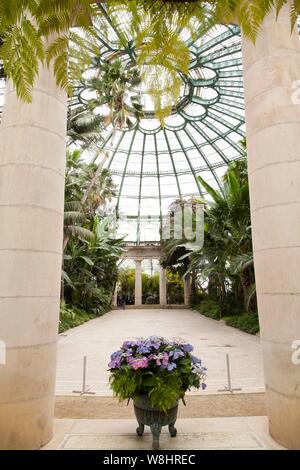 Chambre verte avec des plantes, Palais Royal, Lanaken, Belgique. Banque D'Images