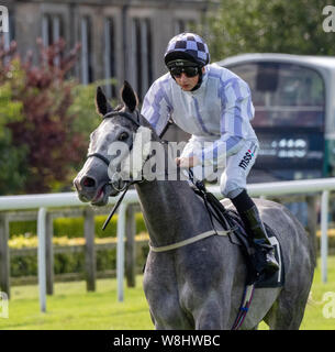 Andrew Jockey Breslin sur juste une rumeur avant le début de la 'Boogie le matin Handicap", Musselburgh Racecourse, 9 août 2019 Banque D'Images