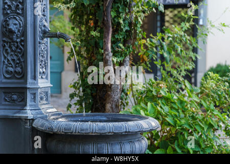 L'eau potable fraîche saupoudrer d'une belle vieille fontaine avec tête de lion ornements dans un milieu urbain vert entourant à Zurich - format paysage, mo Banque D'Images