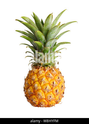 Ananas mûrs isolé sur fond blanc Banque D'Images