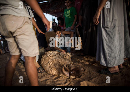 Tripoli (Libye). 9 Août, 2019. Un garçon est titulaire d'un mouton à la marché du bétail à Tripoli, Libye, le 9 août, 2019. La Libye Centre national de santé des animaux a déclaré vendredi que 350 000 moutons ont été importés pour l'Aïd al-Adha, ou le 'festival du sacrifice." Source : Xinhua/Salahuddien Amru Banque D'Images