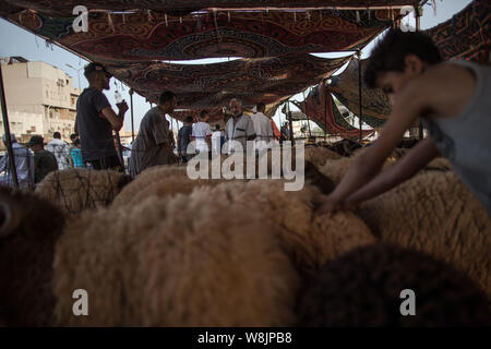 Tripoli (Libye). 9 Août, 2019. Les gens achètent des moutons à un marché de bétail à Tripoli, Libye, le 9 août, 2019. La Libye Centre national de santé des animaux a déclaré vendredi que 350 000 moutons ont été importés pour l'Aïd al-Adha, ou le 'festival du sacrifice." Source : Xinhua/Salahuddien Amru Banque D'Images