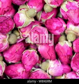 Fleurs de rose séchées texture background libre. Rose Thé - Fleurs de rose séchées gros plan de texture. Pétales de roses sèches de l'Asie pour le thé et les épices. Copyspace pour l'élément ou l'arrière-plan. Banque D'Images