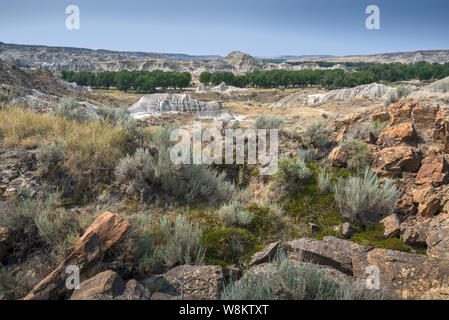 Badlands dans le parc provincial Dinosaur, en Alberta, Canada Banque D'Images