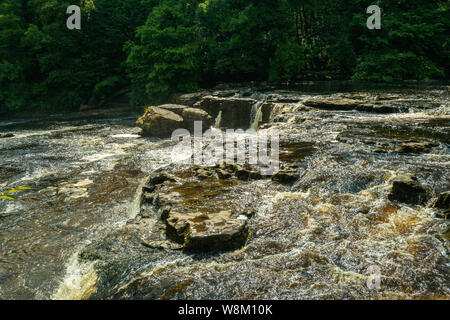 Aysgarth Falls dans le Yorkshire Dales National Park sont un vol triple de cascades entouré de forêts et de terres agricoles, Banque D'Images