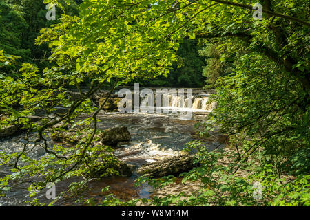 Aysgarth Falls dans le Yorkshire Dales National Park sont un vol triple de cascades entouré de forêts et de terres agricoles, Banque D'Images