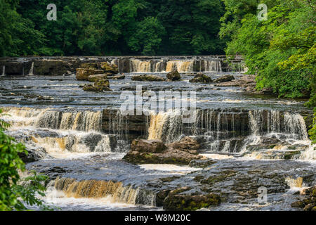 Aysgarth Falls dans le Yorkshire Dales National Park sont un vol triple de cascades entouré de forêts et de terres agricoles, Banque D'Images