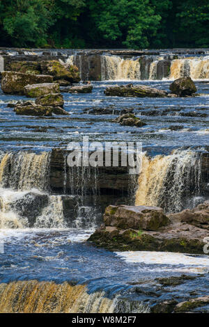 Aysgarth Falls dans le Yorkshire Dales National Park sont un vol triple de cascades entouré de forêts et de terres agricoles, Banque D'Images