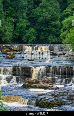 Aysgarth Falls dans le Yorkshire Dales National Park sont un vol triple de cascades entouré de forêts et de terres agricoles, Banque D'Images