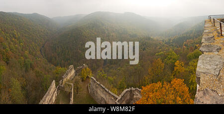 Vue panoramique sur la vallée et la rivière Kamp dans les ruines de château Schauenstein au milieu des richesses naturelles de la forêt primitive comme en temps d'automne brumeux. Banque D'Images
