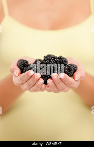 Woman holding mûres fraîches en mains libre. Personne montrant poignée de petits fruits noirs fruits dans femme mains. Mûre berry régime sain concept. Banque D'Images