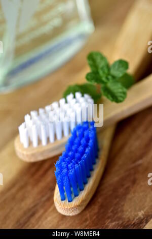 Libre de deux éco-vegan naturelles brosses à dents en bois bleu et blanc avec des feuilles de menthe douce et de soies. Style de vie socialement responsable Banque D'Images