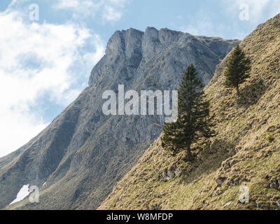 Paysage de montagne dans le Parc naturel de Gantrisch, canton de Berne, Oberland bernois, Alpes suisses, Suisse Banque D'Images