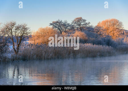 Paysage mystique d'un petit étang en Bavière Allgäu Banque D'Images