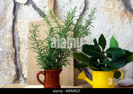 Plantes aromatiques, épices et fines herbes, de romarin et de feuilles de laurier en face d'un mur de pierre avec une planche à découper de cuisine en bois Banque D'Images