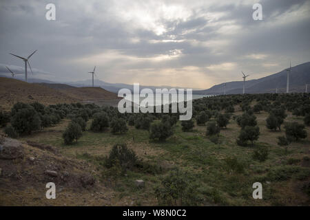 8 août 2019, Manjil, Gilan, IRAN : une vue de Rudbar et Manjil parc éolien à Manjil, province de Gilan, Iran. Harzvil Siahpoush, Manjil, et Rudbar les parcs éoliens sont parcs éoliens situés dans la région de Gilan, Iran. En 1995, les gouverneurs de l'Iran a décidé d'utiliser les énergies renouvelables en Iran et a commencé à développer des parcs éoliens dans la région Manjil. Ils commencent par l'installation d'un réservoir Nord NTK-500/37 éolienne. Ils ont ajouté d'autres produits d'Nordtank NTK comme-300/35 et NTK-550/42. Le développeur a été l'Iran les énergies renouvelables (SUNA) comme représentant de TAVANIR, et ils ont choisi comme Saba-Niroo fabricant iranien à Banque D'Images