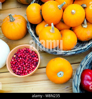 Assortiment varié de citrouilles sur un fond de bois. La récolte d'automne Banque D'Images