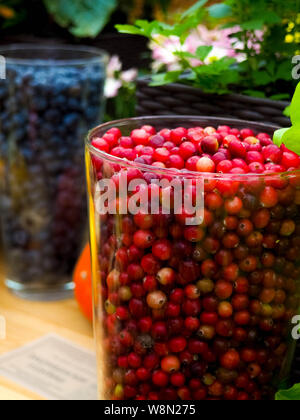 Frais et délicieux cranberries - fruits et légumes. Banque D'Images