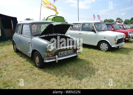 Une ligne de Mini classique est stationné jusqu'à la vapeur, juste Torbay Churston, Devon, Angleterre, Royaume-Uni. Banque D'Images