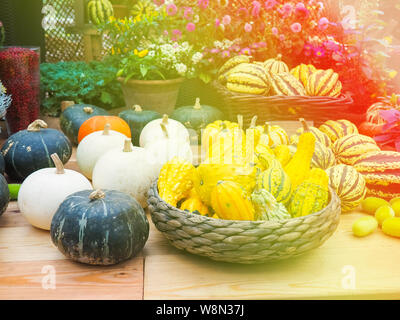 Le big orange citrouille citrouilles et l'autre dans le foin, country style, juste récolter à l'automne Banque D'Images