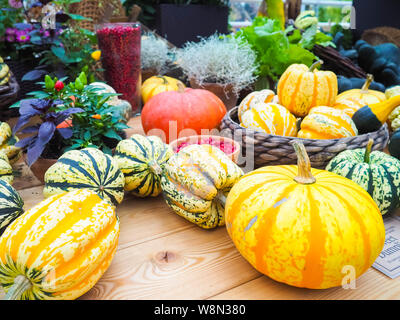 Le big orange citrouille citrouilles et l'autre dans le foin, country style, juste récolter à l'automne Banque D'Images