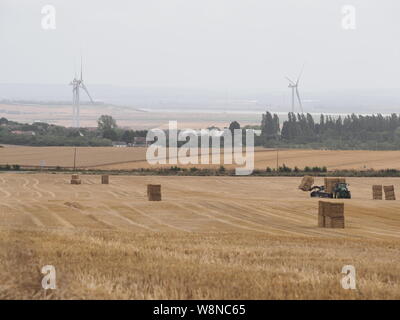 Eastchurch, Kent, Royaume-Uni. 10 août 2019. Royaume-Uni Météo : un après-midi venteux, chaud et généralement ensoleillé à Eastchurch, dans le Kent. Un agriculteur saisit les balles de hale dans un champ dans un après-midi rouillé. Crédit: James Bell/Alay Live News Banque D'Images