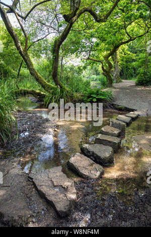 Pierres de gué à travers le ruisseau à St Catherine's Woods, Jersey Banque D'Images