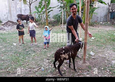 Un homme essaie de lier un mouton sacrificiel à un poteau dans le jour d'Eid al Adha. L'EID al Adha est un jour islamique traditionnel où certaines viandes sont données aux pauvres. Banque D'Images