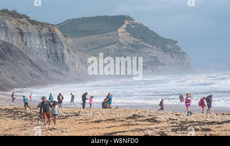 Charmouth, Dorset, UK. 10 août 2019. Météo France : Les vacanciers vous aventurer sur une journée venteuse au village balnéaire de Charmouth comme le temps exceptionnellement forts vents du sud-ouest continuent de battre la côte sud-ouest le samedi après-midi. Les conditions de tempête n'a pas dissuader les chasseurs de fossiles sur Charmouth plage. Credit : Celia McMahon/Alamy Live News. Banque D'Images