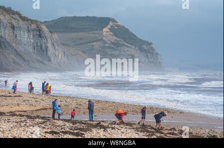 Charmouth, Dorset, UK. 10 août 2019. Météo France : Les vacanciers vous aventurer sur une journée venteuse au village balnéaire de Charmouth comme le temps exceptionnellement forts vents du sud-ouest continuent de battre la côte sud-ouest le samedi après-midi. Les conditions de tempête n'a pas dissuader les chasseurs de fossiles sur Charmouth plage. Credit : Celia McMahon/Alamy Live News. Banque D'Images