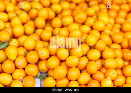 Vue de dessus du tas de kumquats frais dans le marché des aliments biologiques Banque D'Images