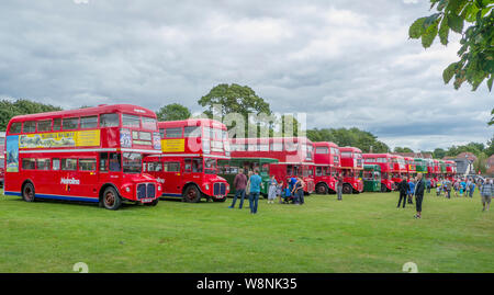 Ligne de bus avec leur public à Alton Rallye Bus & Running Day 2019 Banque D'Images