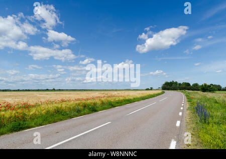 Vue d'été d'une belle route de campagne sinueuse avec blossom road côtés à l'île de Oland en Suède Banque D'Images