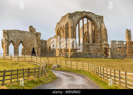 Abbaye Egglestone près de Barnard Castle une ville de marché, de Teesdale Comté de Durham, Angleterre Banque D'Images