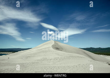WA17206-00...WASHINGTON - dune de sable le Hanford Reach National Monument. Banque D'Images