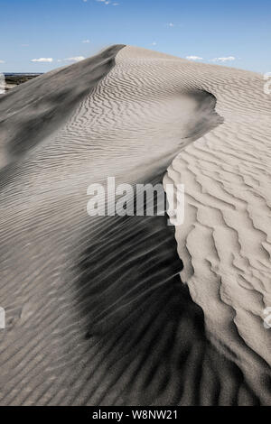 WA17214-00-..WASHINGTON - dune de sable le Hanford Reach National Monument. Banque D'Images